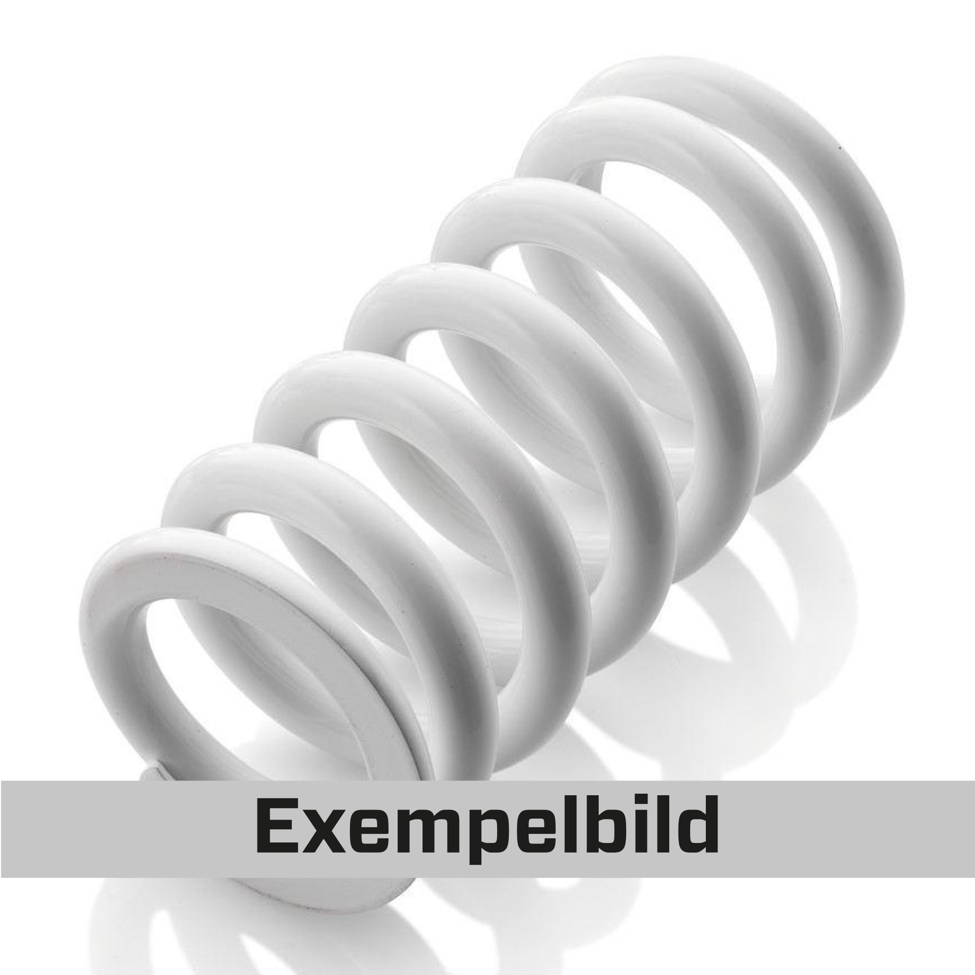 wp-rear-spring.jpg